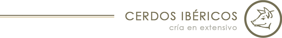 Cerdos Ibéricos | cría en extensivo